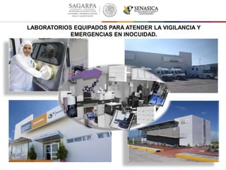 LABORATORIOS EQUIPADOS PARA ATENDER LA VIGILANCIA Y
EMERGENCIAS EN INOCUIDAD.
 