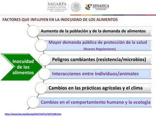 Aumento de la población y de la demanda de alimentos
Mayor demanda pública de protección de la salud
(Nuevas Regulaciones)
Peligros cambiantes (resistencia/microbios)
Interacciones entre individuos/animales
Cambios en las prácticas agrícolas y el clima
Cambios en el comportamiento humano y la ecología
http://www.fao.org/docrep/012/i1677s/i1677s00.htm
FACTORES QUE INFLUYEN EN LA INOCUIDAD DE LOS ALIMENTOS
Inocuidad
de los
alimentos
 