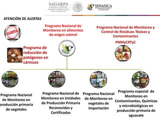 Programa de
reducción de
patógenos en
cárnicos
Programa Nacional de Monitoreo y
Control de Residuos Tóxicos y
Contaminantes
PNMyCRTyC
Programa Nacional de
Monitoreo en alimentos
de origen animal
ATENCIÓN DE ALERTAS
Programa Nacional
de Monitoreo en
producción primaría
de vegetales
Programa Nacional de
Monitoreo en Unidades
de Producción Primaria
Reconocidas y
Certificadas
Programa Nacional
de Monitoreo en
vegetales de
Importación
Programa especial de
Monitoreo en
Contaminantes, Químicos
y microbiológicos en
producción primaria de
aguacate
 