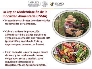 La Ley de Modernización de la
Inocuidad Alimentaria (FSMA)
 Pretende evitar brotes de enfermedades
transmitidas por alimentos.
 Cubre la cadena de producción
alimenticia – de la granja al punto de
venta de los alimentos que regula la FDA
(producción y cosecha de frutas y
vegetales para consumo en fresco).
 Están excluidas las carnes rojas, carnes
de aves, y los productos de huevo
congelados, secos o líquidos, cuya
regulación corresponde al
Departamento de Agricultura (USDA).
 