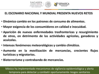 EL ESCENARIO NACIONAL Y MUNDIAL PRESENTA NUEVOS RETOS
• Dinámico cambio en los patrones de consumo de alimentos.
• Mayor exigencia de los consumidores en calidad e inocuidad.
• Aparición de nuevas enfermedades trasfronterizas y resurgimiento
de otras, en detrimento de las actividades agrícolas, ganaderas y
acuícolas.
• Intensos fenómenos meteorológicos y cambio climático.
• Aumento en la movilización de mercancías, crecientes flujos
turísticos y migratorios.
• Bioterrorismo y contrabando de mercancías.
México ha implementado mecanismos de vigilancia epidemiológica y alerta
temprana para detectar y combatir oportunamente riesgos sanitarios
 