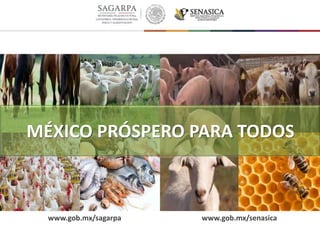 MÉXICO PRÓSPERO PARA TODOS
www.gob.mx/sagarpa www.gob.mx/senasica
 