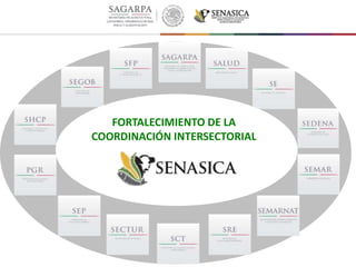 FORTALECIMIENTO DE LA
COORDINACIÓN INTERSECTORIAL
 