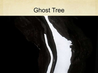 Ghost Tree
 