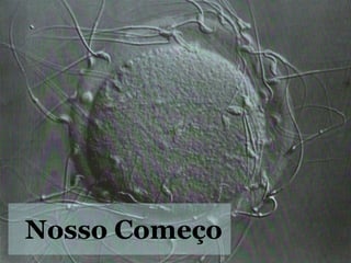Nosso Começo 