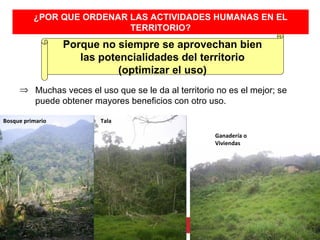 ¿POR QUE ORDENAR LAS ACTIVIDADES HUMANAS EN EL
                           TERRITORIO?
                  Porque no siempre se aprovechan bien
                     las potencialidades del territorio
                             (optimizar el uso)
     ⇒ Muchas veces el uso que se le da al territorio no es el mejor; se
       puede obtener mayores beneficios con otro uso.

Bosque primario          Tala

                                                      Ganadería o
                                                      Viviendas
 