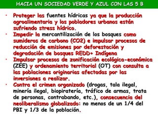 HACIA UN SOCIEDAD VERDE Y AZUL CON LAS 5 B
                Pero, aún hay un largo camino…
•   Proteger las fuentes hídricas ya que la producción
    agroalimentaria y los pobladores urbanos están
    sufriendo stress hídrico.
•   Impedir la mercantilización de los bosques como
    sumideros de carbono (CO2) e impulsar procesos de
    reducción de emisiones por deforestación y
    degradación de bosques REDD+ Indígena
•   Impulsar procesos de zonificación ecológica-económica
    (ZEE) y ordenamiento territorial (OT) con consulta a
    las poblaciones originarias afectadas por las
    inversiones a realizar.
•   Contra el crimen organizado (drogas, tala ilegal,
    minería ilegal, biopiratería, tráfico de armas, trata
    de personas, contrabando, etc.), consecuencia del
    neoliberalismo globalizado: no menos de un 1/4 del
    PBI y 1/3 de la población.
 