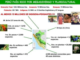 PERÚ PAÍS RICO POR MEGADIVERSO Y PLURICULTURAL
Extensión Total: 128.5 Millones Has    Amazonía: 72 Millones Has.       Bosques: 74 Millones Has.

    Población: 29.7 Mill. Indígenas: 6.5 Mill. en 15 familias lingüísticas y 67 lenguas

AL MENOS 15 MILLONES DE INDIGENA-PENSANTES !!!!


   84 de las 117 zonas de vida


         2 do. en aves = 1,816
         especies                                                            28 tipos de climas


     1ro. En peces = 2,000
     especies                                                        1ro. en mariposas = 3,532
                                                                     especies


           4to. En anfibios = 449                                    8vo. en plantas = 25,000
           especies                                                  especies



            5to. en reptiles = 418                            4,500 plantas conocidas para
            especies                                          49 usos distintos
 