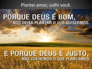 Plantei amor, colhi você.
 