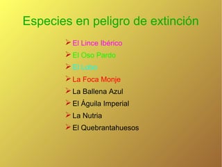 Especies en peligro de extinción
 El Lince Ibérico
 El Oso Pardo
 El Lobo
 La Foca Monje
 La Ballena Azul
 El Águila Imperial
 La Nutria
 El Quebrantahuesos

 