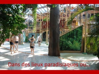 Dans des lieux paradisiaques ou…