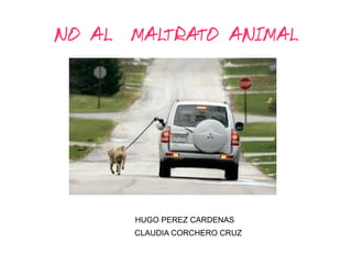 NO AL MALTRATO ANIMAL
HUGO PEREZ CARDENAS
CLAUDIA CORCHERO CRUZ
 