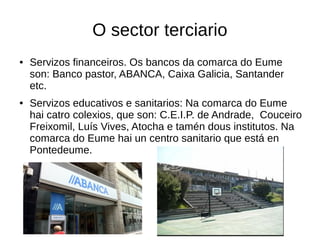 O sector terciario
● Servizos financeiros. Os bancos da comarca do Eume
son: Banco pastor, ABANCA, Caixa Galicia, Santander
etc.
● Servizos educativos e sanitarios: Na comarca do Eume
hai catro colexios, que son: C.E.I.P. de Andrade, Couceiro
Freixomil, Luís Vives, Atocha e tamén dous institutos. Na
comarca do Eume hai un centro sanitario que está en
Pontedeume.
 