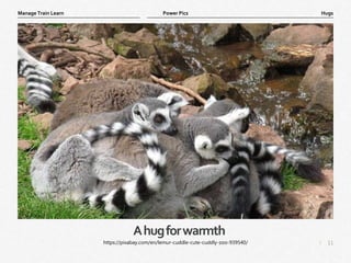 11
|
Hugs
Manage Train Learn Power Pics
Ahugforwarmth
https://pixabay.com/en/lemur-cuddle-cute-cuddly-zoo-939540/
 