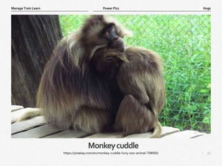 22
|
Hugs
Manage Train Learn Power Pics
Monkeycuddle
https://pixabay.com/en/monkey-cuddle-furry-zoo-animal-708000/
 