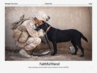3
|
Hugs
Manage Train Learn Power Pics
Faithfulfriend
https://pixabay.com/en/soldier-dog-companion-service-870399/
 
