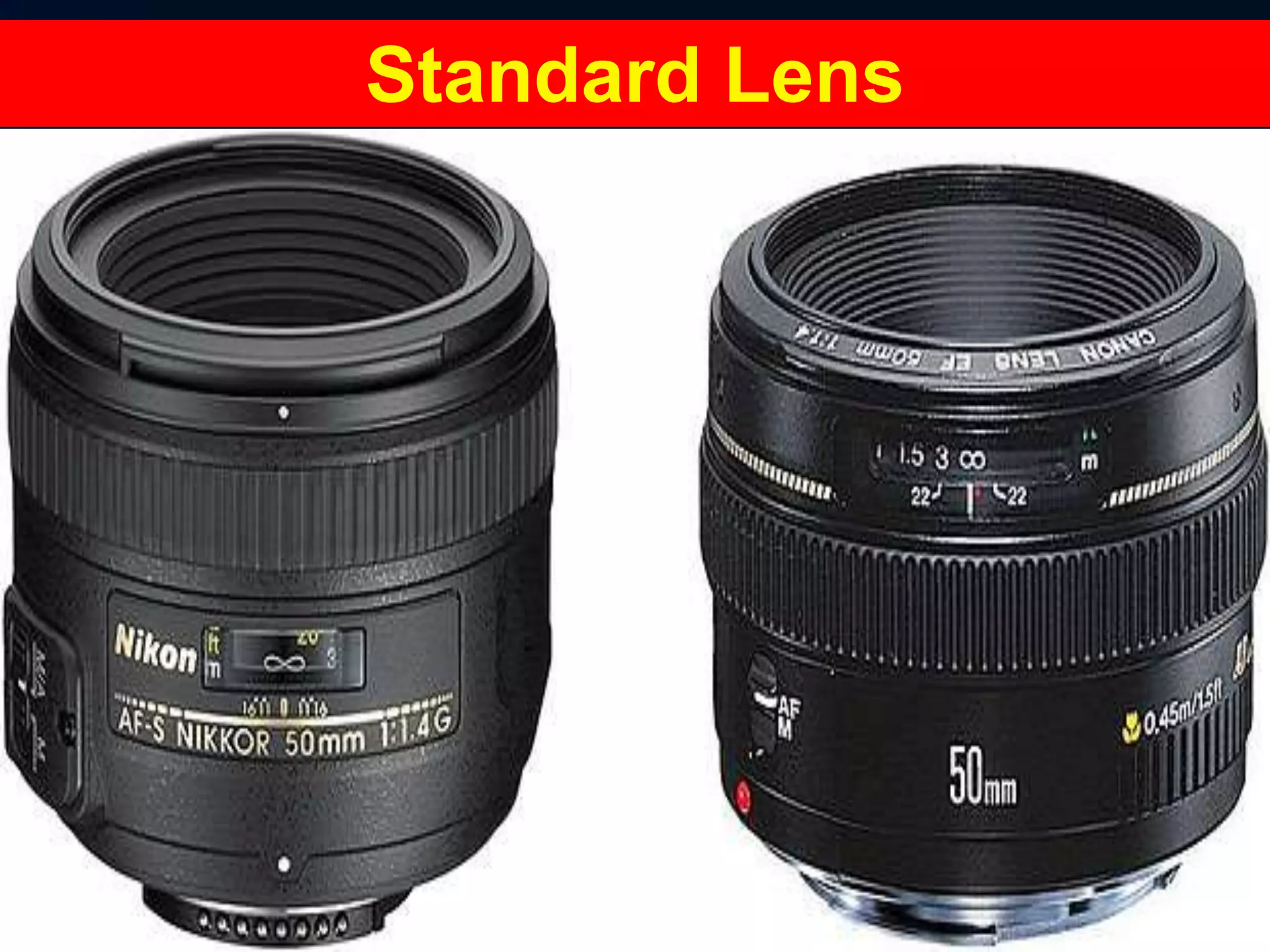 Standard Lens
 