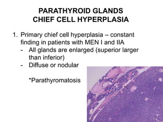 PARATHYROID GLANDS
CHIEF CELL HYPERPLASIA
1. Primary chief cell hyperplasia – constant
finding in patients with MEN I and IIA
- All glands are enlarged (superior larger
than inferior)
- Diffuse or nodular
*Parathyromatosis
 