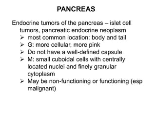 PANCREAS
Endocrine tumors of the pancreas – islet cell
tumors, pancreatic endocrine neoplasm
 most common location: body and tail
 G: more cellular, more pink
 Do not have a well-defined capsule
 M: small cuboidal cells with centrally
located nuclei and finely granular
cytoplasm
 May be non-functioning or functioning (esp
malignant)
 