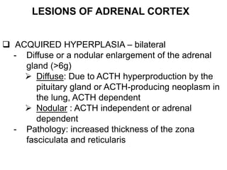 LESIONS OF ADRENAL CORTEX
 ACQUIRED HYPERPLASIA – bilateral
- Diffuse or a nodular enlargement of the adrenal
gland (>6g)
 Diffuse: Due to ACTH hyperproduction by the
pituitary gland or ACTH-producing neoplasm in
the lung, ACTH dependent
 Nodular : ACTH independent or adrenal
dependent
- Pathology: increased thickness of the zona
fasciculata and reticularis
 