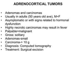 ADRENOCORTICAL TUMORS
• Adenomas and carcinomas
• Usually in adults (50 years old ave), M=F
• Asymptomatic or with signs related to hormonal
dysfunction
• Highly necrotic carcinomas may result in fever
• Palpable=malignant
• Gross: solitary
• Adenomas-small
• Carcinoma-> 10 g
• Diagnosis: Computed tomography
• Treatment: Surgical excision
 