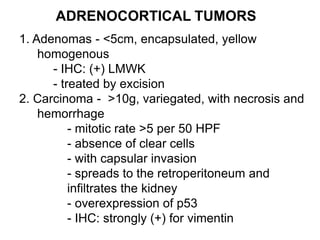 ADRENOCORTICAL TUMORS
1. Adenomas - <5cm, encapsulated, yellow
homogenous
- IHC: (+) LMWK
- treated by excision
2. Carcinoma - >10g, variegated, with necrosis and
hemorrhage
- mitotic rate >5 per 50 HPF
- absence of clear cells
- with capsular invasion
- spreads to the retroperitoneum and
infiltrates the kidney
- overexpression of p53
- IHC: strongly (+) for vimentin
 