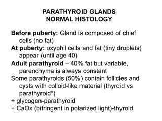 PARATHYROID GLANDS
NORMAL HISTOLOGY
Before puberty: Gland is composed of chief
cells (no fat)
At puberty: oxyphil cells and fat (tiny droplets)
appear (until age 40)
Adult parathyroid – 40% fat but variable,
parenchyma is always constant
Some parathyroids (50%) contain follicles and
cysts with colloid-like material (thyroid vs
parathyroid*)
+ glycogen-parathyroid
+ CaOx (bifringent in polarized light)-thyroid
 