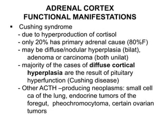 ADRENAL CORTEX
FUNCTIONAL MANIFESTATIONS
 Cushing syndrome
- due to hyperproduction of cortisol
- only 20% has primary adrenal cause (80%F)
- may be diffuse/nodular hyperplasia (bilat),
adenoma or carcinoma (both unilat)
- majority of the cases of diffuse cortical
hyperplasia are the result of pituitary
hyperfunction (Cushing disease)
- Other ACTH –producing neoplasms: small cell
ca of the lung, endocrine tumors of the
foregut, pheochromocytoma, certain ovarian
tumors
 