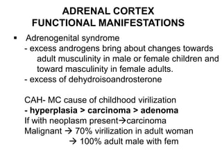 ADRENAL CORTEX
FUNCTIONAL MANIFESTATIONS
 Adrenogenital syndrome
- excess androgens bring about changes towards
adult musculinity in male or female children and
toward masculinity in female adults.
- excess of dehydroisoandrosterone
CAH- MC cause of childhood virilization
- hyperplasia > carcinoma > adenoma
If with neoplasm presentcarcinoma
Malignant  70% virilization in adult woman
 100% adult male with fem
 