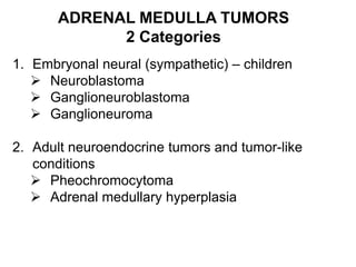 ADRENAL MEDULLA TUMORS
2 Categories
1. Embryonal neural (sympathetic) – children
 Neuroblastoma
 Ganglioneuroblastoma
 Ganglioneuroma
2. Adult neuroendocrine tumors and tumor-like
conditions
 Pheochromocytoma
 Adrenal medullary hyperplasia
 