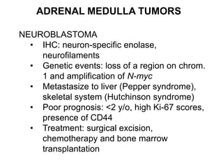 ADRENAL MEDULLA TUMORS
NEUROBLASTOMA
• IHC: neuron-specific enolase,
neurofilaments
• Genetic events: loss of a region on chrom.
1 and amplification of N-myc
• Metastasize to liver (Pepper syndrome),
skeletal system (Hutchinson syndrome)
• Poor prognosis: <2 y/o, high Ki-67 scores,
presence of CD44
• Treatment: surgical excision,
chemotherapy and bone marrow
transplantation
 
