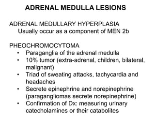 ADRENAL MEDULLA LESIONS
ADRENAL MEDULLARY HYPERPLASIA
Usually occur as a component of MEN 2b
PHEOCHROMOCYTOMA
• Paraganglia of the adrenal medulla
• 10% tumor (extra-adrenal, children, bilateral,
malignant)
• Triad of sweating attacks, tachycardia and
headaches
• Secrete epinephrine and norepinephrine
(paragangliomas secrete norepinephrine)
• Confirmation of Dx: measuring urinary
catecholamines or their catabolites
 