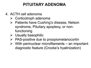 PITUITARY ADENOMA
4. ACTH cell adenoma
 Corticotroph adenoma
 Patients have Cushing’s disease, Nelson
syndrome, Pituitary apoplexy, or non-
functioning
 Usually basophilic
 PAS-positive due to proopiomelanocortin
 With perinuclear microfilaments – an important
diagnostic feature (Crooke’s hyalinization)
 