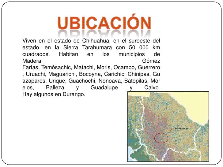 Huicholes Y Tarahumaras