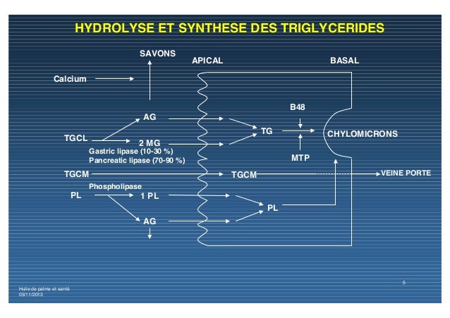 acide butyrique santé