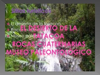  El desierto de la tatacoa
Rocas cuaternarias
Museo paleontológico