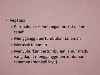 • Vegetasi
o Perubahan keseimbangan nutrisi dalam
tanah
o Mengganggu pertumbuhan tanaman
o Merusak tanaman
o Menyuburkan pertumbuhan jamur madu
yang dapat mengganggu pertumbuhan
tanaman (menjadi layu)

 