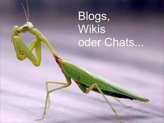 Blogs,
Wikis
oder Chats...
 