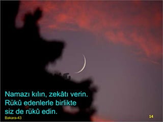 Namazı kılın, zekâtı verin.
Rükû edenlerle birlikte
siz de rükû edin.
Bakara-43

14

 