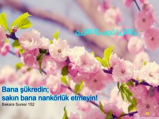 Bana şükredin;
sakın bana nankörlük etmeyin!
Bakara Suresi 152
45

 