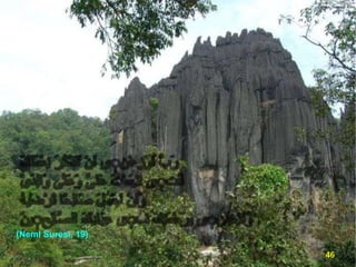 (Neml Suresi, 19)
46

 