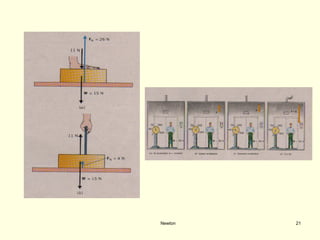 Newton 