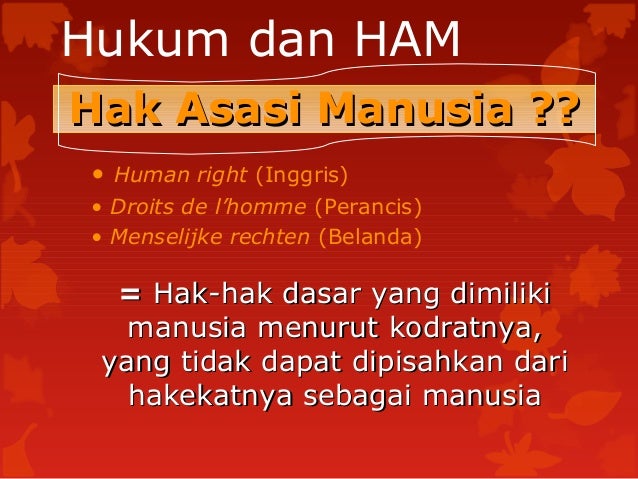 Hukum Dan Ham