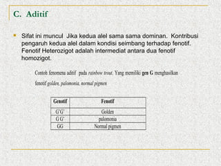 C. Aditif


Sifat ini muncul Jika kedua alel sama sama dominan. Kontribusi
pengaruh kedua alel dalam kondisi seimbang terhadap fenotif.
Fenotif Heterozigot adalah intermediat antara dua fenotif
homozigot.
Contoh fenomena aditif pada rainbow trout. Yang memiliki gen G menghasilkan
fenotif golden, palomonia, normal pigmen
Genotif

Fenotif

G’G’
G G’
GG

Golden
palomonia
Normal pigmen

 