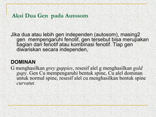 Aksi Dua Gen pada Autosom
Jika dua atau lebih gen independen (autosom), masing2
gen mempengaruhi fenotif, gen tersebut bisa merupakan
bagian dari fenotif atau kombinasi fenotif. Tiap gen
diwariskan secara independen,
DOMINAN
G menghasilkan grey guppies, resesif alel g menghasilkan gold
gupy. Gen Cu mempengaruhi bentuk spine, Cu alel dominan
untuk normal spine, resesif alel cu menghasilkan bentuk spine
curvatur.

 