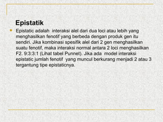 Epistatik


Epistatic adalah interaksi alel dari dua loci atau lebih yang
menghasilkan fenotif yang berbeda dengan produk gen itu
sendiri. Jika kombinasi spesifik alel dari 2 gen menghasilkan
suatu fenotif, maka interaksi normal antara 2 loci menghasilkan
F2. 9:3:3:1 (Lihat tabel Punnet). Jika ada model interaksi
epistatic jumlah fenotif yang muncul berkurang menjadi 2 atau 3
tergantung tipe epistaticnya.

 