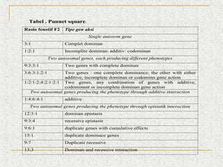 Tabel . Punnet square.
Rasio fenotif F2

Tipe gen aksi
Single autosom gene

3:1

Complet dominan

1:2:1

Incomplite dominan: additiv: codominan
Two autosomal genes, each producing different phenotypes

9:3:3:1

Two genes with complete dominan

3:6:3:1:2:1

Two genes : one complete dominance; the other with either
additive, incomplete dominan or codominn gene action
1:2:1:2:4:2:1:2:1 Two genes, any combination of genes with additive,
codominant or incomplete dominan gene action
Two autosomal genes producing the phenotype thraugh additive interaction
1:4:6:4:1

additive

Two autosomal genes producing the phenotype through epistatik interaction
12:3:1

dominan epistasis

9:3:4

recessive epistasis

9:6:1

duplicate genes with cumulative effects

15:1

duplicate dominace genes

9:7

Duplicate recessive

13:3

Dominan and recessive interaction

 