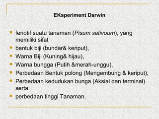 EKsperiment Darwin










fenotif suatu tanaman (Pisum sativoum), yang
memiliki sifat
bentuk biji (bundar& keriput),
Warna Biji (Kuning& hijau),
Warna bungga (Putih &merah-unggu),
Perbedaan Bentuk polong (Mengembung & keriput),
Perbedaan kedudukan bunga (Aksial dan terminal)
serta
perbedaan tinggi Tanaman.

 