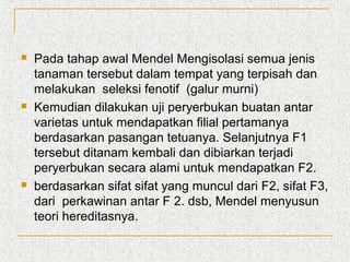 





Pada tahap awal Mendel Mengisolasi semua jenis
tanaman tersebut dalam tempat yang terpisah dan
melakukan seleksi fenotif (galur murni)
Kemudian dilakukan uji peryerbukan buatan antar
varietas untuk mendapatkan filial pertamanya
berdasarkan pasangan tetuanya. Selanjutnya F1
tersebut ditanam kembali dan dibiarkan terjadi
peryerbukan secara alami untuk mendapatkan F2.
berdasarkan sifat sifat yang muncul dari F2, sifat F3,
dari perkawinan antar F 2. dsb, Mendel menyusun
teori hereditasnya.

 