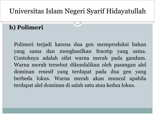 b) Polimeri
Polimeri terjadi karena dua gen memproduksi bahan
yang sama dan menghasilkan fenotip yang sama.
Contohnya adalah sifat warna merah pada gandum.
Warna merah tersebut dikendalikan oleh pasangan alel
dominan resesif yang terdapat pada dua gen yang
berbeda lokus. Warna merah akan muncul apabila
terdapat alel dominan di salah satu atau kedua lokus.
Universitas Islam Negeri Syarif Hidayatullah
 